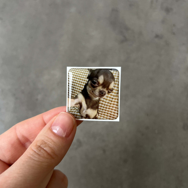 3D sticker "Puppy's Selfie"