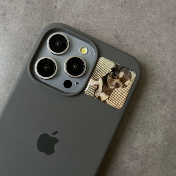 3D sticker "Puppy's Selfie"