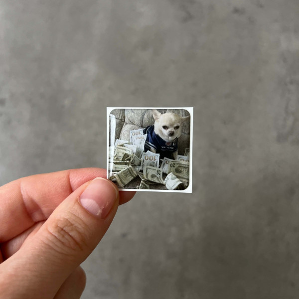 3D sticker "Puppy with Dollars"