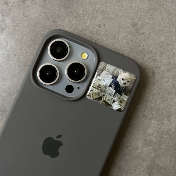 3D sticker "Puppy with Dollars"